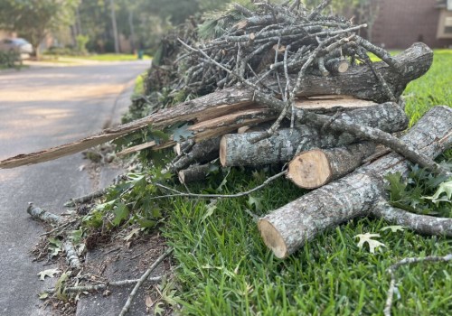 The Importance of Recycling and Waste Management in Spring Branch, TX